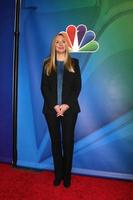 Los angeles, déc 16 - Hope Davis à la tournée de presse nbcuniversal tca à l'hôtel huntington langham le 16 décembre 2015 à pasadena, ca photo