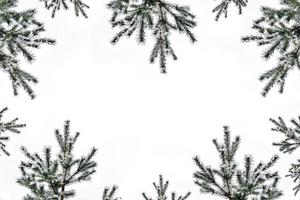 les branches de l'arbre de noël couvert de neige photo