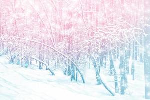 forêt d'hiver. paysage d'hiver. arbres couverts de neige photo