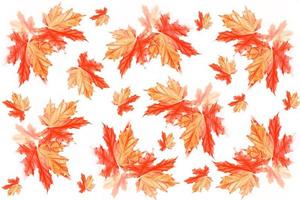 feuillage d'automne aux couleurs vives photo