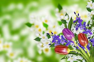 fleurs de jasmin, iris et muguet photo