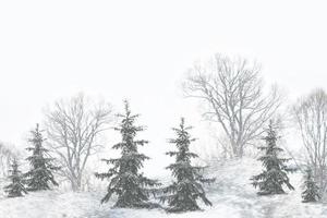 forêt d'hiver gelée avec des arbres couverts de neige. photo