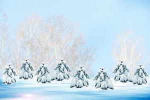 forêt d'hiver. paysage d'hiver. photo