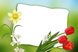 carte de printemps de vacances. fond fleuri. fleurs aux couleurs vives. photo