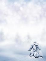 carte de Noël. paysage d'hiver photo