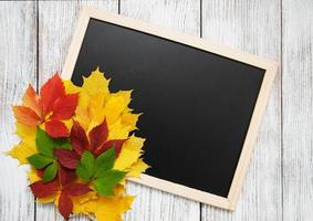 feuilles d'automne sur tableau noir photo