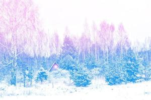 village dans la forêt couverte de neige d'hiver. photo