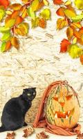 carte halloween. chat noir et citrouille orange. photo