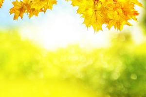 paysage d'automne avec un feuillage coloré et lumineux. été indien. photo