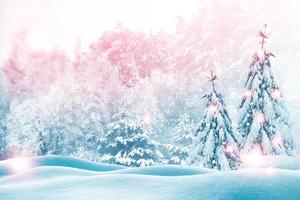 forêt d'hiver gelée avec des arbres couverts de neige. photo