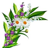 fleurs muguet photo