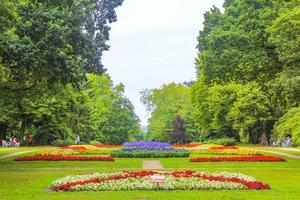 vue panoramique naturelle avec sentier fleurs colorées arbres forêt allemagne. photo