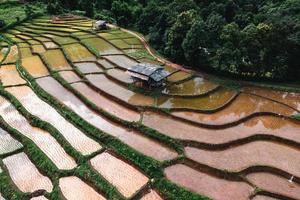 rizières en dehors de la saison de croissance photo