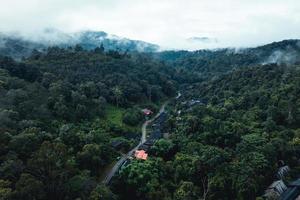 vue aérienne de l'arbre d'été vert et de la forêt avec une route photo