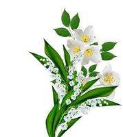 Fleur de jasmin blanc isolé sur fond blanc photo