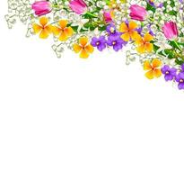 fleurs printanières colorées photo