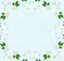 rameau de fleurs de jasmin blanc brillant. composition printanière. photo