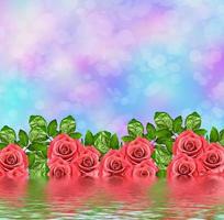 les bourgeons de fleurs roses. carte de vacances. fond floral de roses. photo