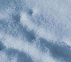 paysage d'hiver. la texture de la neige photo