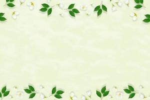 rameau de fleurs de jasmin blanc brillant. composition printanière. photo