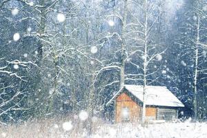 maison en bois rustique dans la forêt couverte de neige. photo