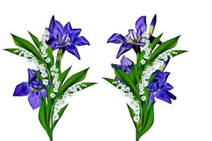 Fleurs bleues iris isolé sur fond blanc photo