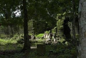 ruines antiques au fond d'une jungle photo