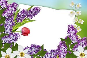 carte de printemps de vacances. fond fleuri. fleurs aux couleurs vives. photo