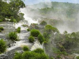 Cascade d'iguassu en amérique du sud jungle tropicale