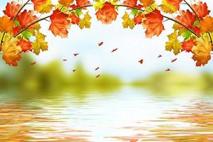 paysage d'automne. belles feuilles d'automne. automne doré.