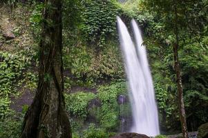 Grande cascade tropicale dans la jungle, près de Senaru, Lombok, ind photo
