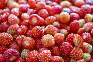 baie de fraise fraîche et délicieuse mûre rouge. Contexte. photo