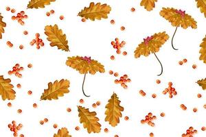 feuilles d'automne isolés sur fond blanc. photo