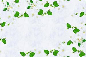 composition de fleurs de jasmin blanc. mise à plat, vue de dessus. photo