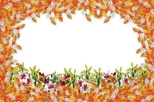 feuillage d'automne coloré isolé sur fond blanc. été indien. photo