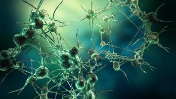 réseau de cellules nerveuses et virus