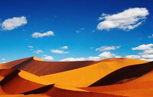 désert du namib photo