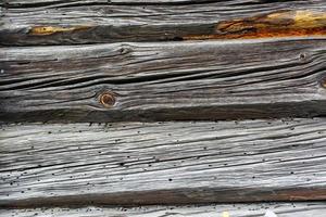 Texture de cadre gris en bois de vieille maison avec des scolytes mangés par des terriers photo