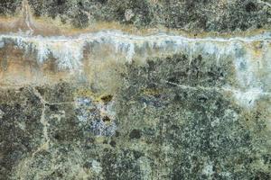 surface du mur gris en béton d'une forteresse militaire dans des fissures couvertes de mousse photo