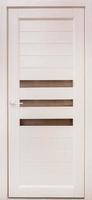 portes en bois de couleur claire pour un intérieur loft moderne et des appartements en copropriété photo