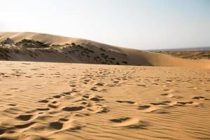 une traînée d'empreintes de pas dans le sable du désert. dune de sarykum au daghestan. voyage, circuit touristique naturel photo