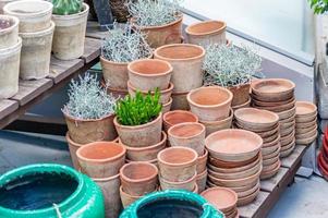 beaucoup de pots de fleurs en argile - vides et avec des plantes sur une étagère en bois photo