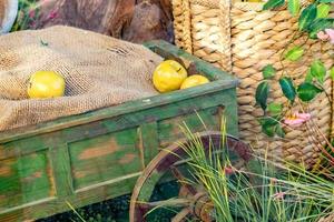 gros plan de l'installation décorative derrière la vitre - chariot en bois avec des pommes vertes et un sac debout dans l'herbe photo