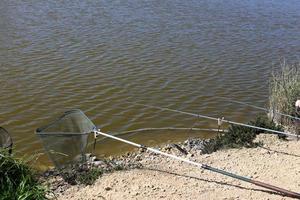 canne à pêche au bord du lac. photo