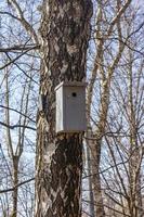 le nichoir sur un arbre photo