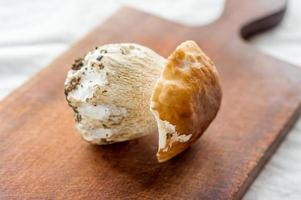 Boletus edulis champignon comestible sur un bureau de cuisine en bois photo