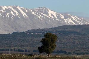 le mont hermon est la plus haute montagne d'israël et le seul endroit où les sports d'hiver peuvent être pratiqués. photo