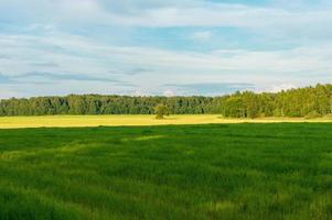 campagne paysage rural photo