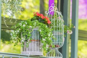 cages à oiseaux décoratives avec fleurs à l'extérieur, décoration de jardin et de rue photo
