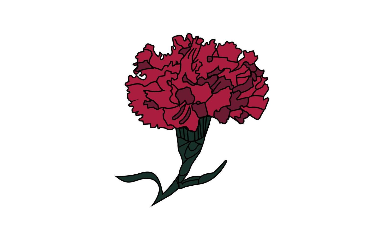 rouge foncé, fleur rose rubis avec des feuilles vertes, illustration de  vecteur de style croquis isolé